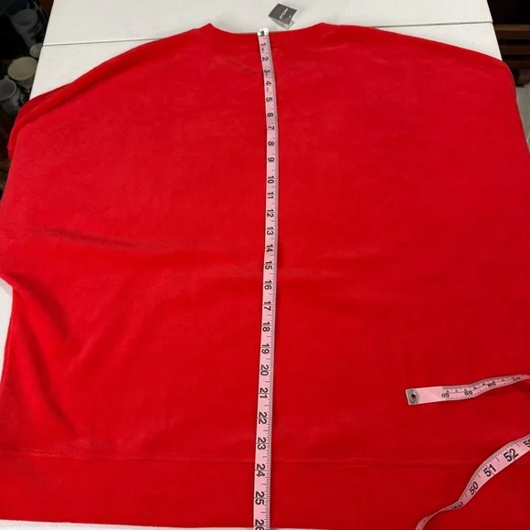 NWT Aerie Velvet Sweatshirt Scoop Neck Raglan Sleeves Coral Women’s Size XL - Picture 4 of 11